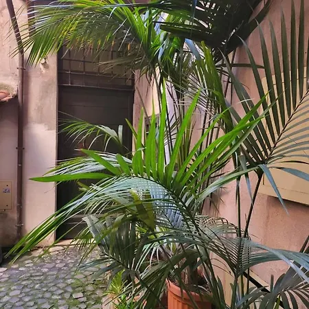 Appartement The Fox Cove *